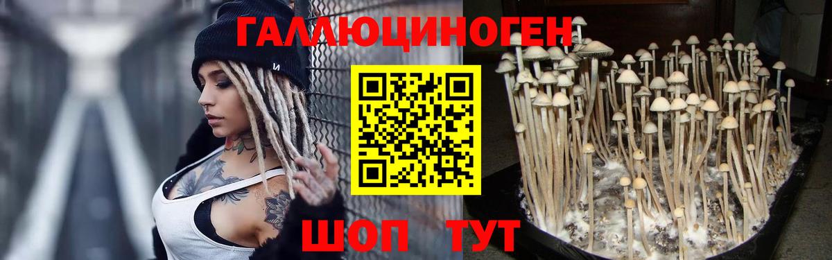 Белореченск  Галлюциногенные грибы мухоморы  Вход с VPN  Галлюциногенные грибы GOLDEN TEACHER 